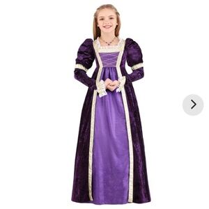 Elegant Purple Renaissance Dress